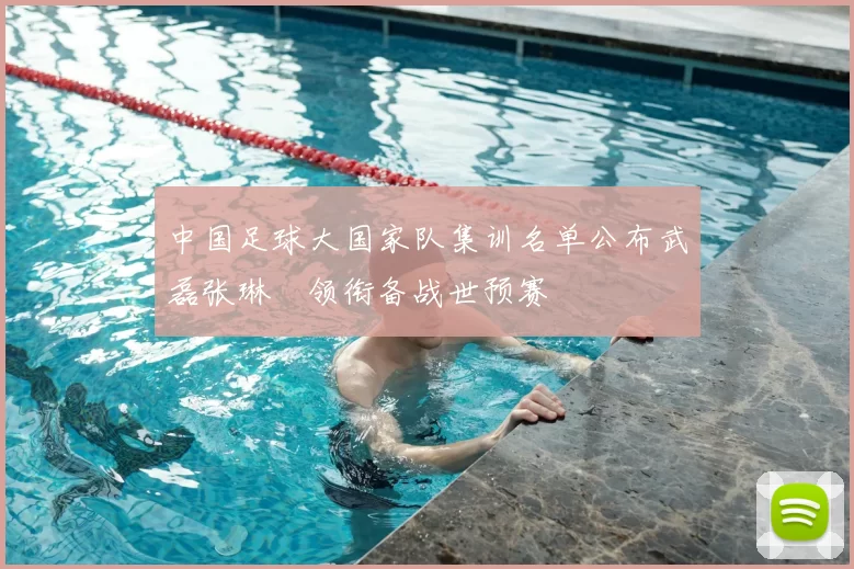 中国足球大国家队集训名单公布武磊张琳芃领衔备战世预赛