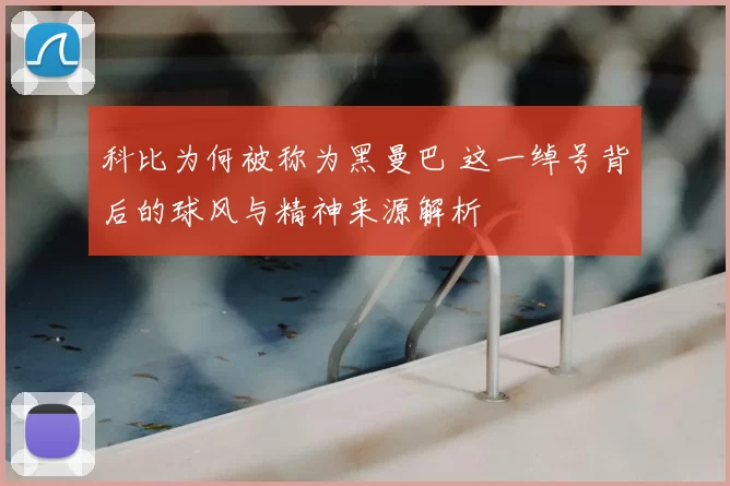 科比为何被称为黑曼巴 这一绰号背后的球风与精神来源解析