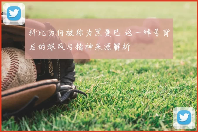 科比为何被称为黑曼巴 这一绰号背后的球风与精神来源解析