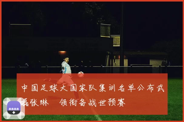 中国足球大国家队集训名单公布武磊张琳芃领衔备战世预赛