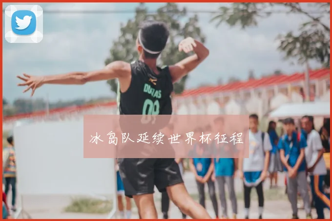 冰岛队延续世界杯征程