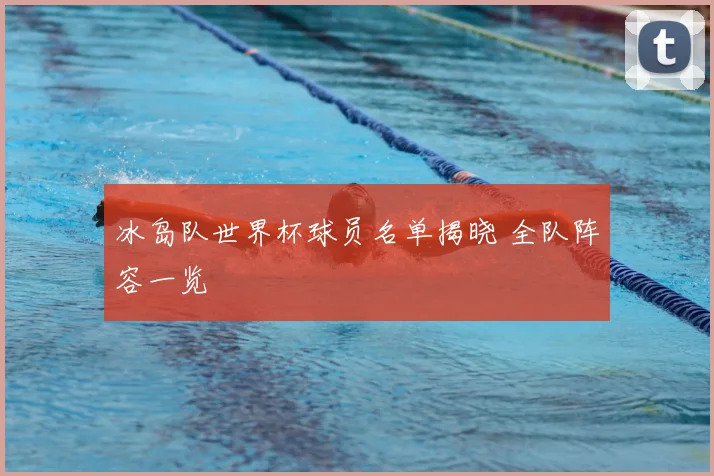冰岛队世界杯球员名单揭晓 全队阵容一览